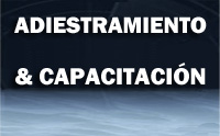 Adiestramiento & Capacitación